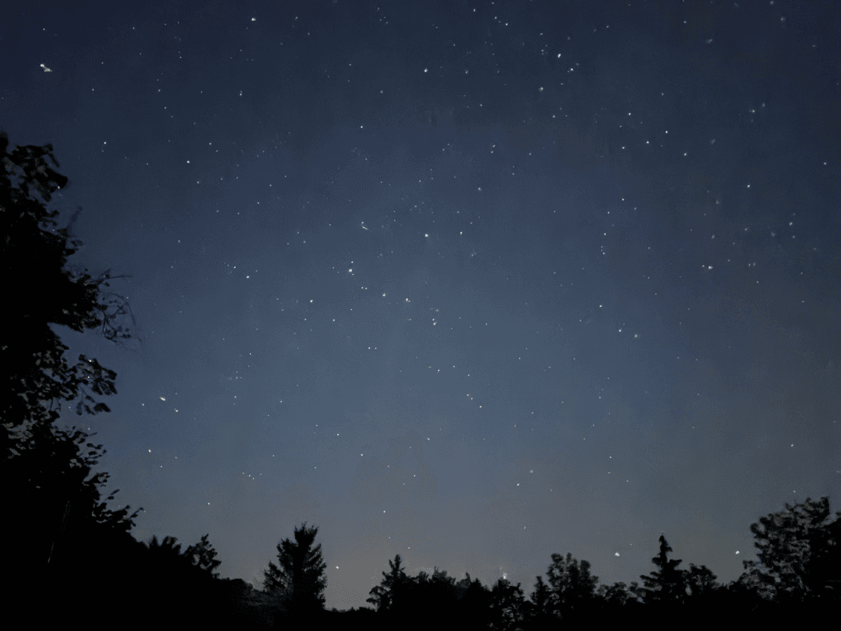 [TEST] Bubble Tent Seerotte 3